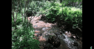 Read more about the article Georgia – Off Grid Air Conditioning