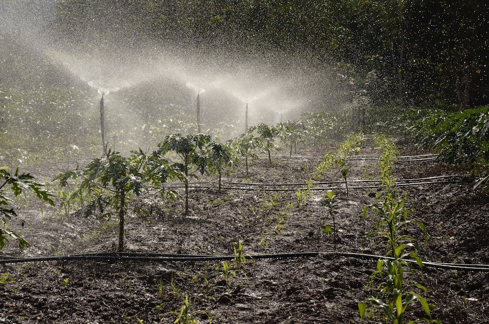 Uses of Harvested Rainwater - Practical Preppers