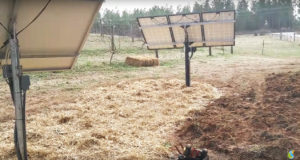 Read more about the article S.C. – Off Grid Solar Water System for Farm