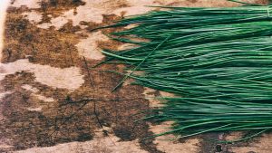 Read more about the article Adding Some Flavor to My Food Storage From My Backyard